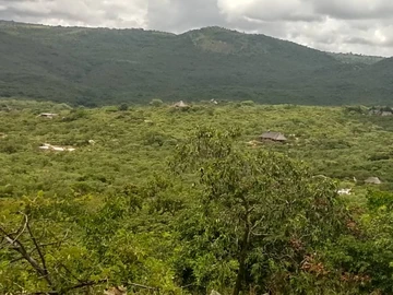 Land