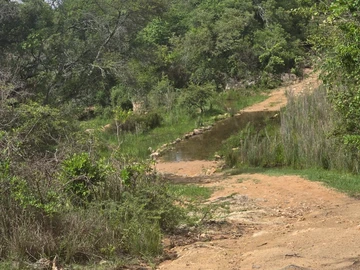 Land
