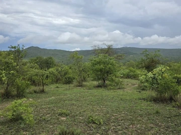 Land