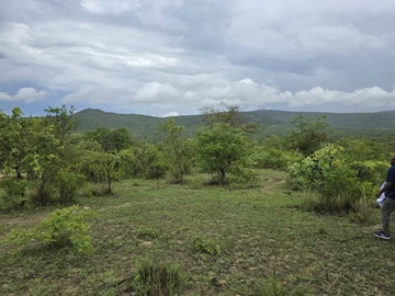 Land